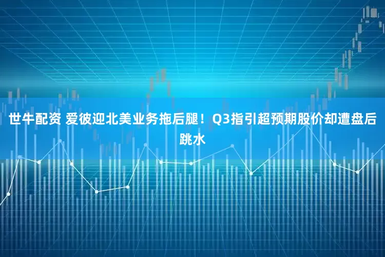 世牛配资 爱彼迎北美业务拖后腿！Q3指引超预期股价却遭盘后跳水